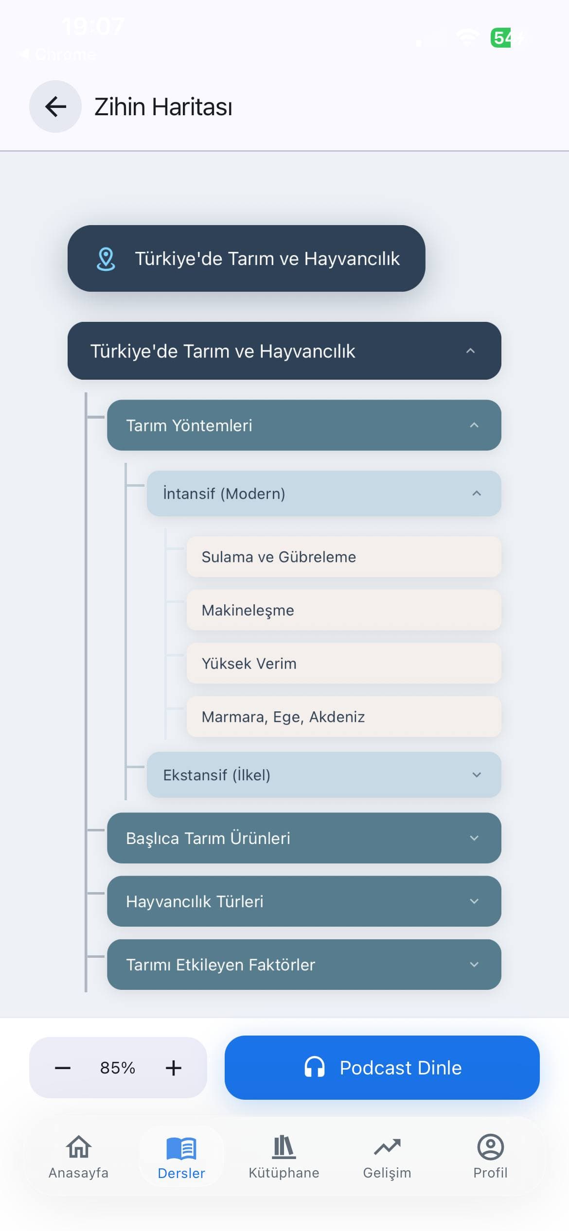 Kapsül KPSS Zihin Haritası modu ekranı — dallanan konu yapısı